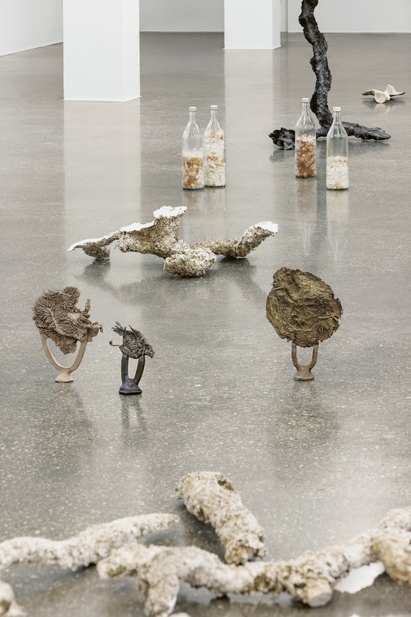 Ausstellungsansicht "Angelika Loderer. Soil Fictions",  Foto: Kunst-Dokumentation.com, Manuel Carreon Lopez © Bildrecht, Wien 2024 