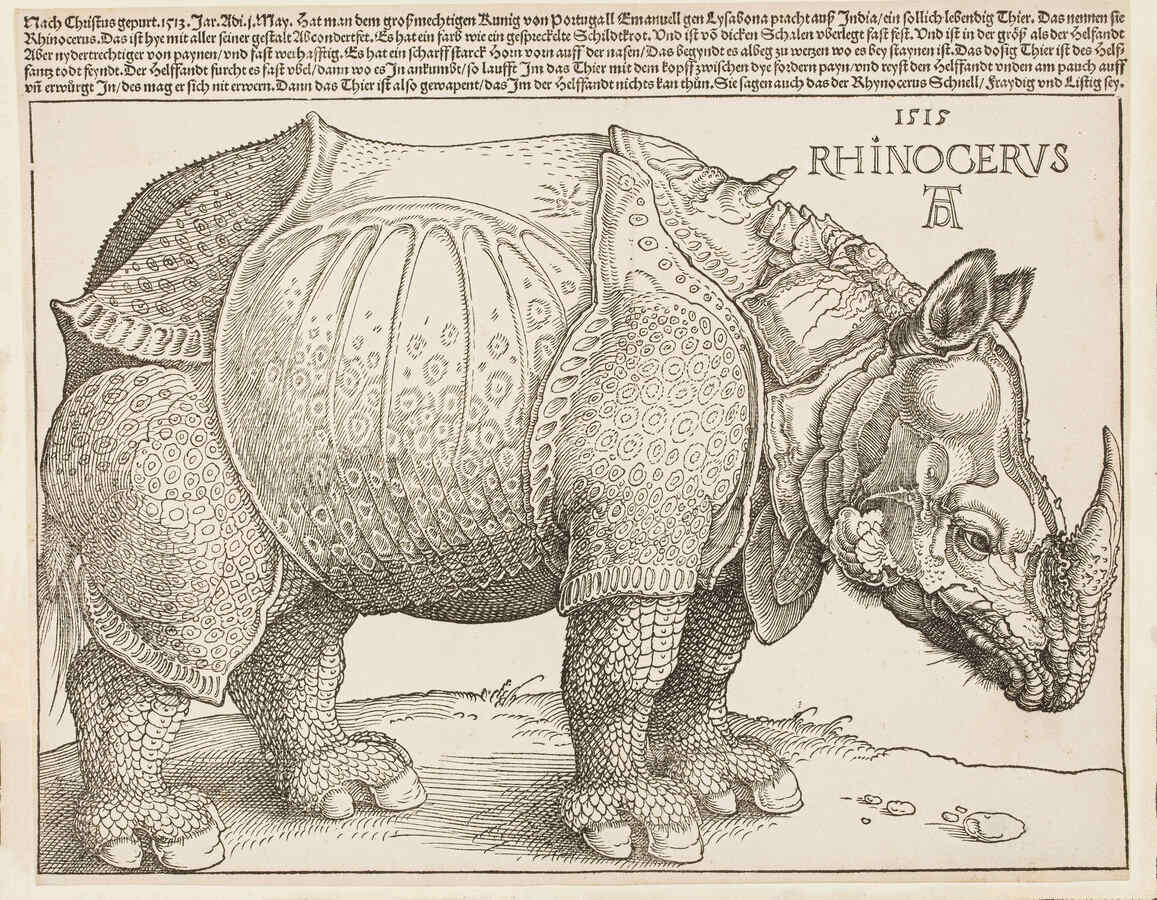 Albrecht Dürer (1471–1528), Das Rhinozeros, 1515, Holzschnitt, 212 x 317 mm, Frankfurt am Main, Städel Museum, Graphische Sammlung © Public Domain