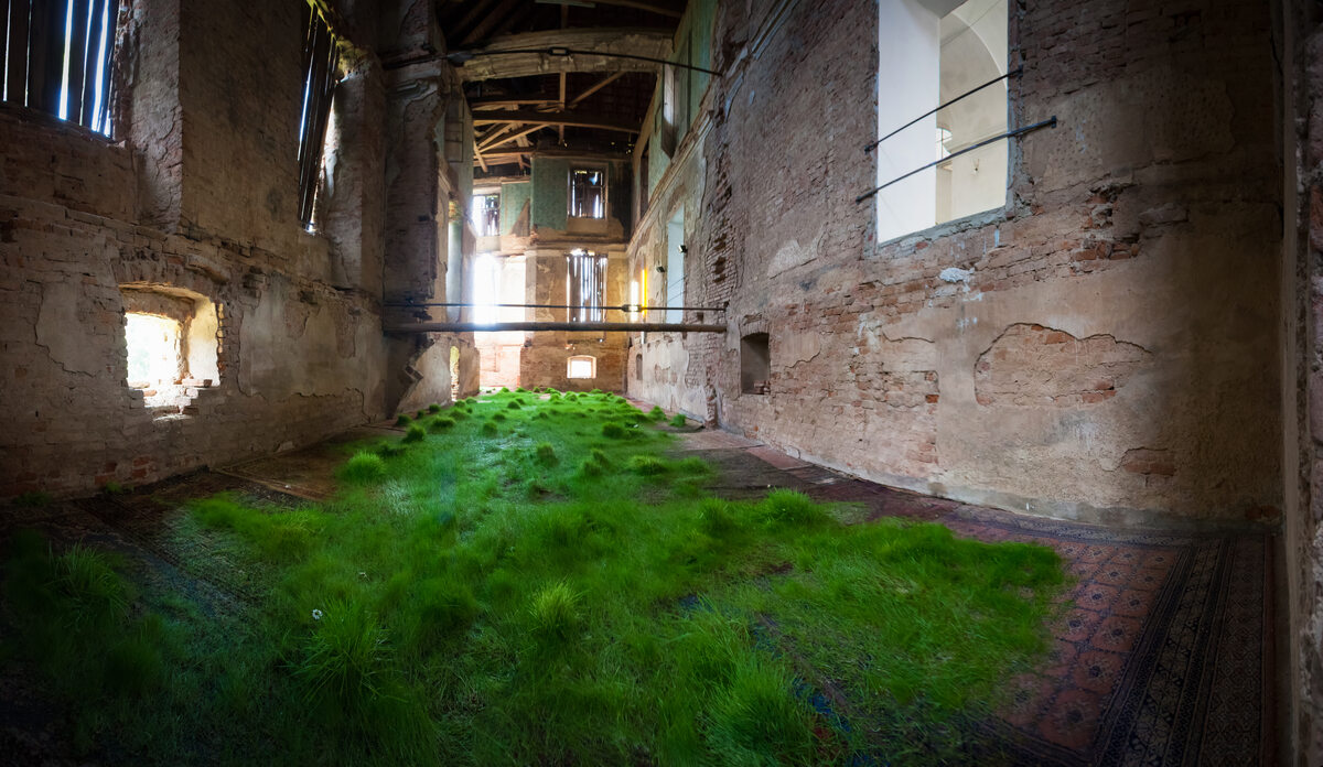 I grew grass on rugs in a castle, 2012, Installationsansicht Schloss Kalsdorf © Galerie Reinisch Contemporary / Jorj Konstantinov / Clemens Nestroy