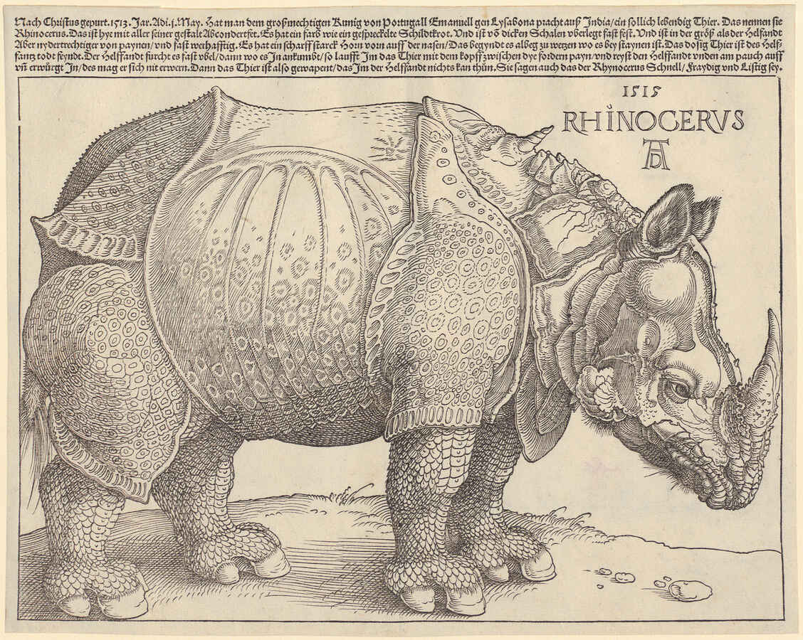 Albrecht Dürer, Rhinocerus, 1515, Holzschnitt und