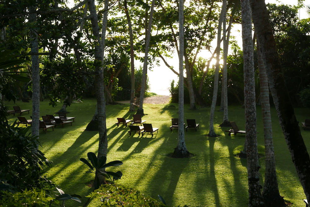 Morgenlicht im großen Garten von Surya Lanka (©