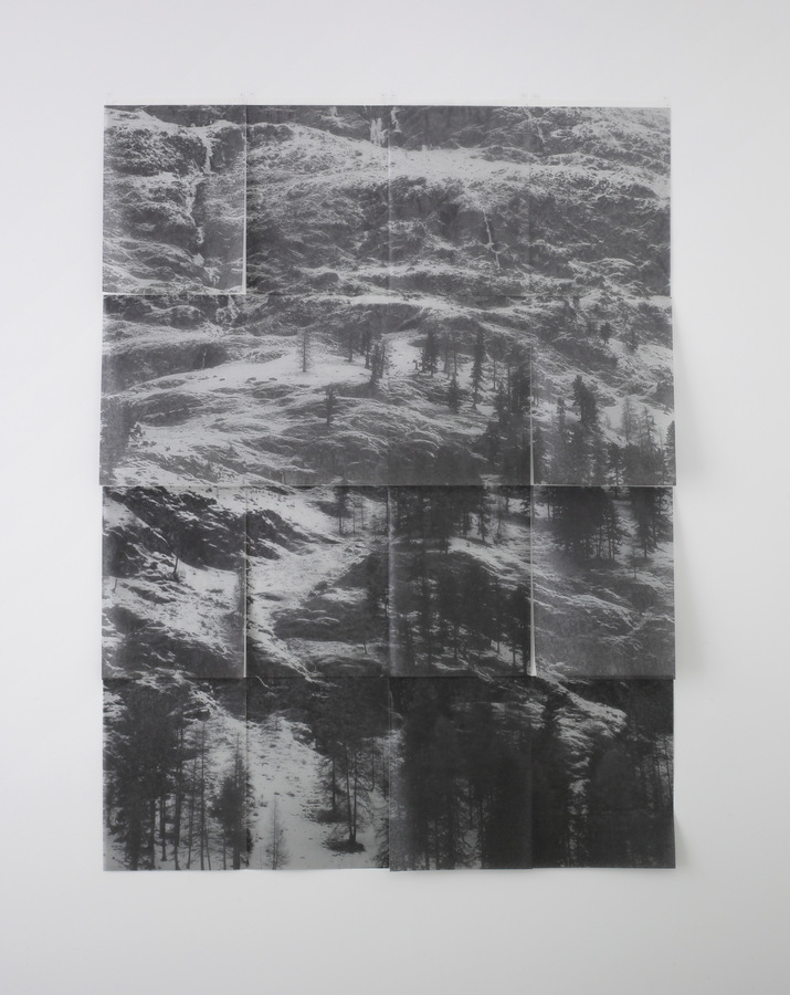 Cecile Wick (*1954), Rosegg, 2003, Inkjetprint auf Japanpapier, 188 x 140 cm, Aargauer Kunsthaus, Mit Genehmigung der Künstlerin