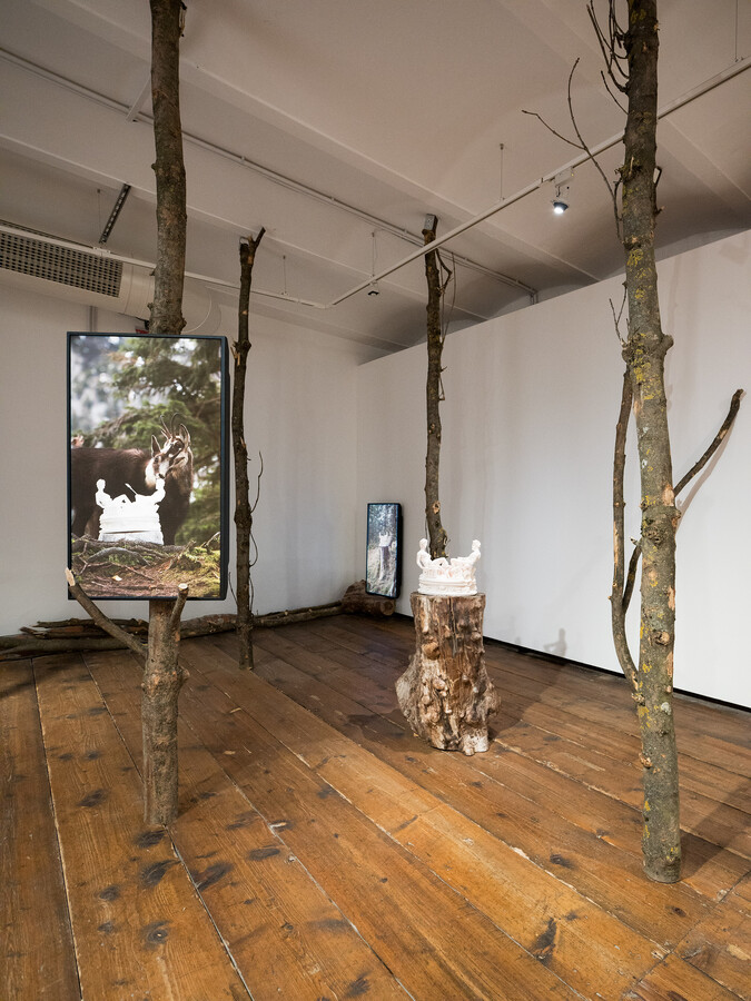 Ausstellungsansicht, Into the Woods, Biennale Zentrale im KunstHausWien © Rudolf Strobl