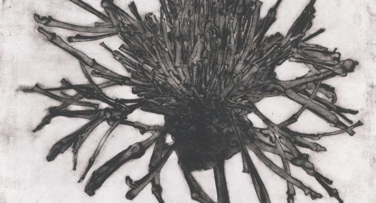 Vorschaubild (Carol Wyss, "Greater Knapweed (Flockenblume)", 2012, Hilti Art Foundation)