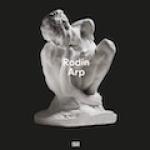 Bild: Buchcover Rodin/Arp
