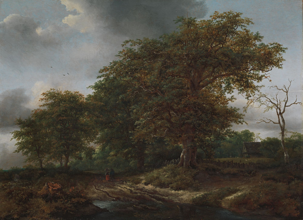 Jacob Isaacksz. van Ruisdael (*1629 Haarlem, +1682 Amsterdam), Landschaft mit Eiche, um 1660, Öl auf Holz, Kunst Museum Winterthur, Dauerleihgabe aus Privatbesitz