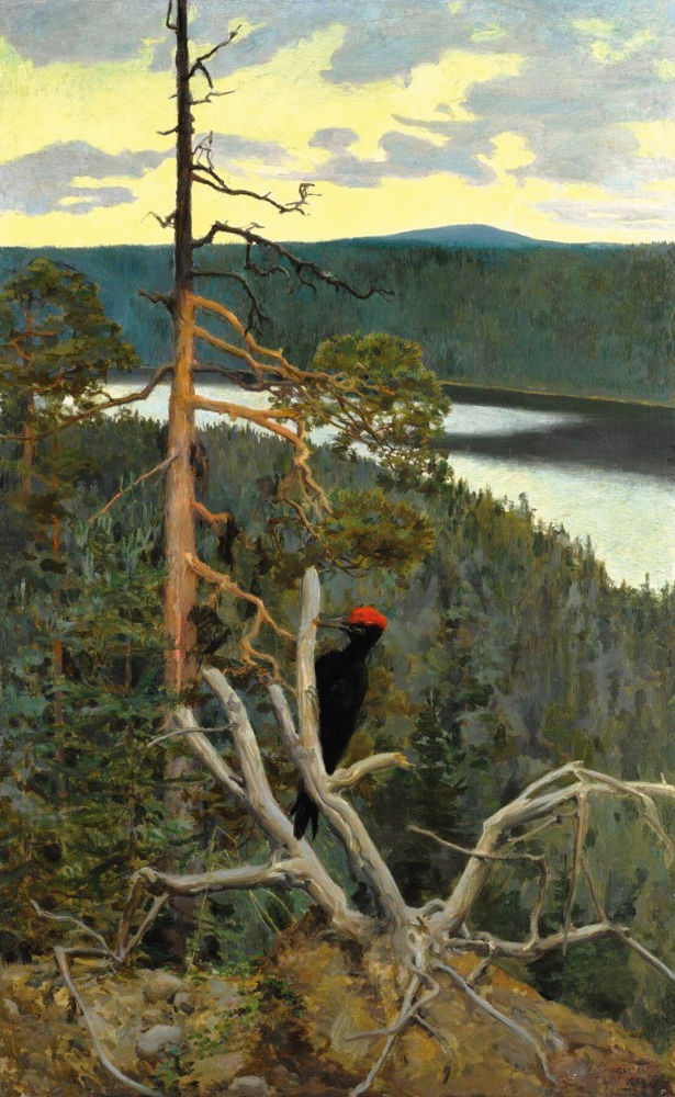  Akseli Gallen-Kallela, Palokärki (Der große Schwarzspecht), 1894 ©  Foto: Musée d’Orsay, Paris / Patrice Schmidt 