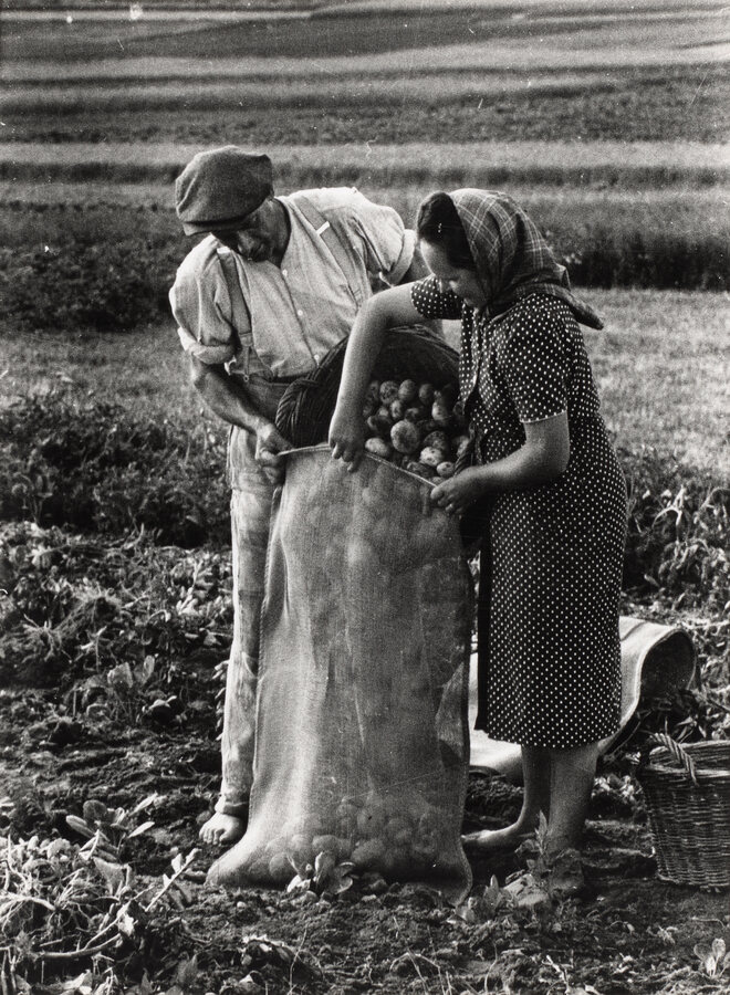 Jakob Tuggener, Kartoffelernte, Müntschemier, 1944 © Jakob Tuggener Stiftung / Fotostiftung Schweiz