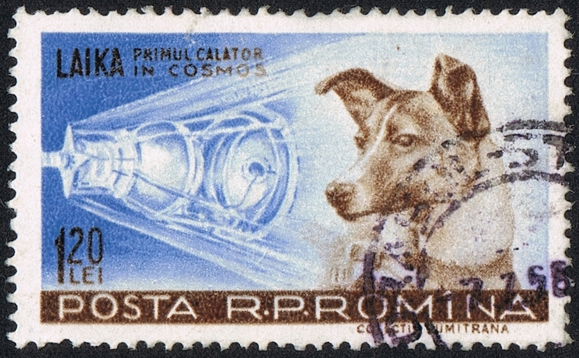 Rumänische Briefmarke aus dem Jahr 1957 mit der