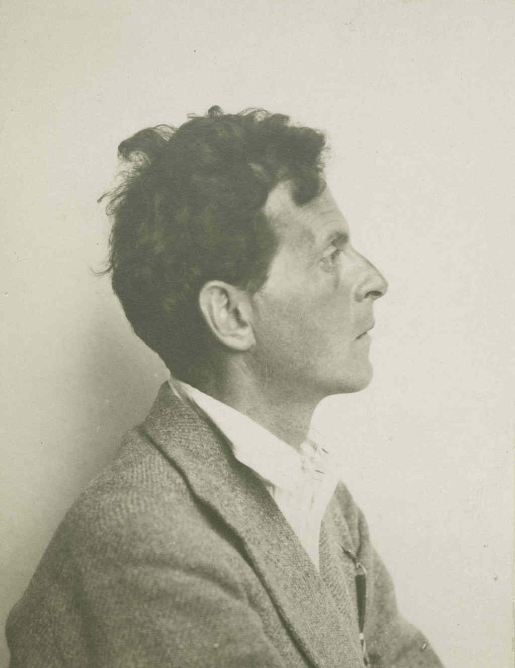 Ludwig Wittgenstein/Moriz Nähr, Ludwig