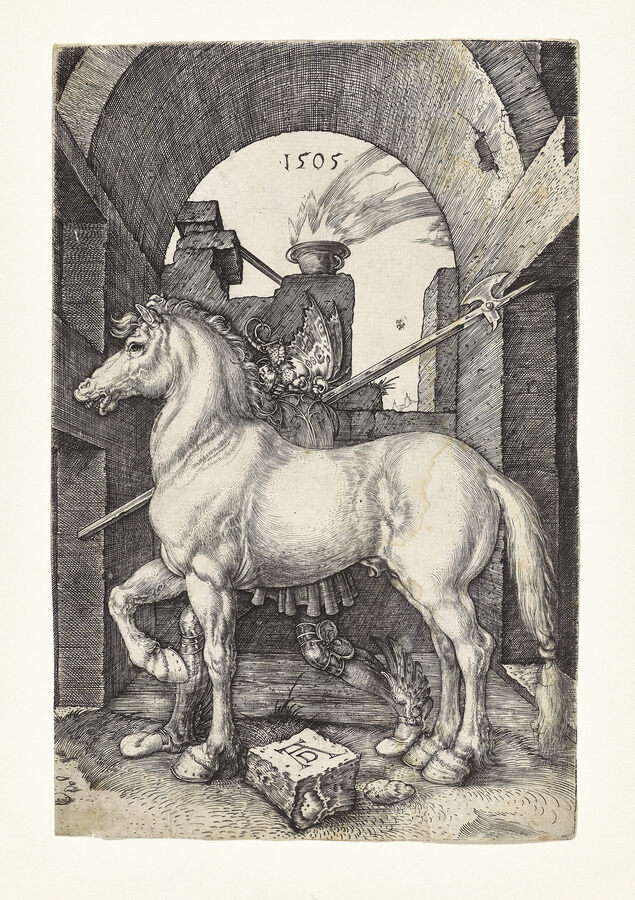 Albrecht Dürer, Das Kleine Pferd, 1505,