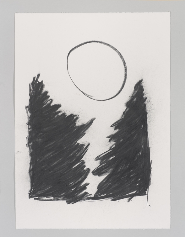 Aljoscha Ségard, O. T. , 2019, Kohle, 106 x 75 cm,
