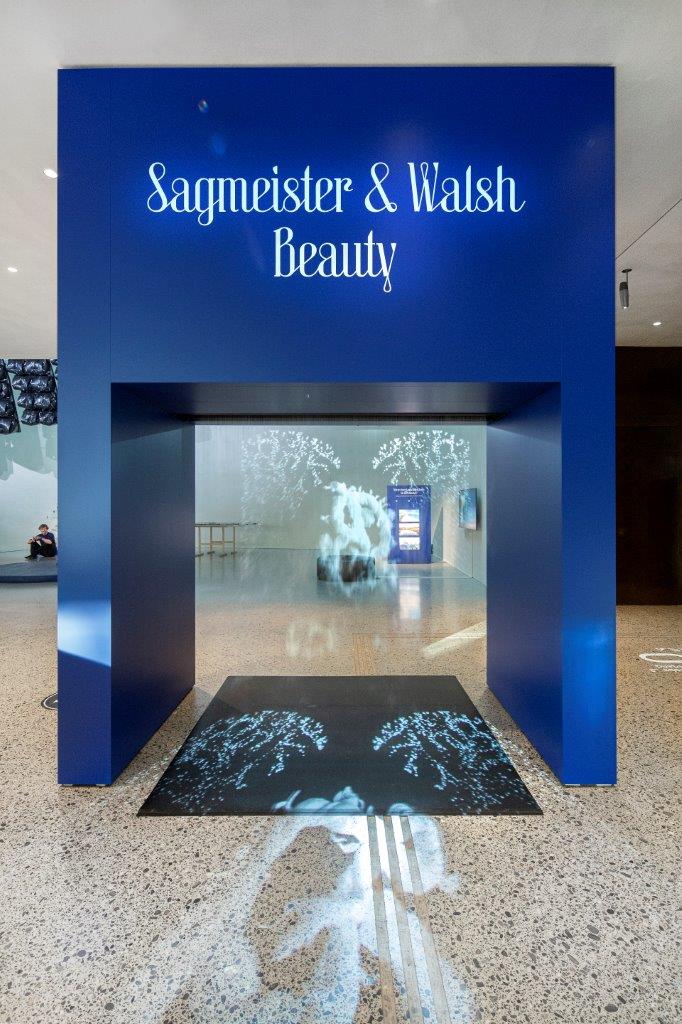 Fog Screen, Sagmeister&amp;Walsh: Beauty,