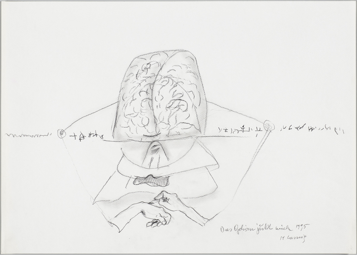Maria Lassnig, Das Gehirn juckt mich, 1995, Wien,