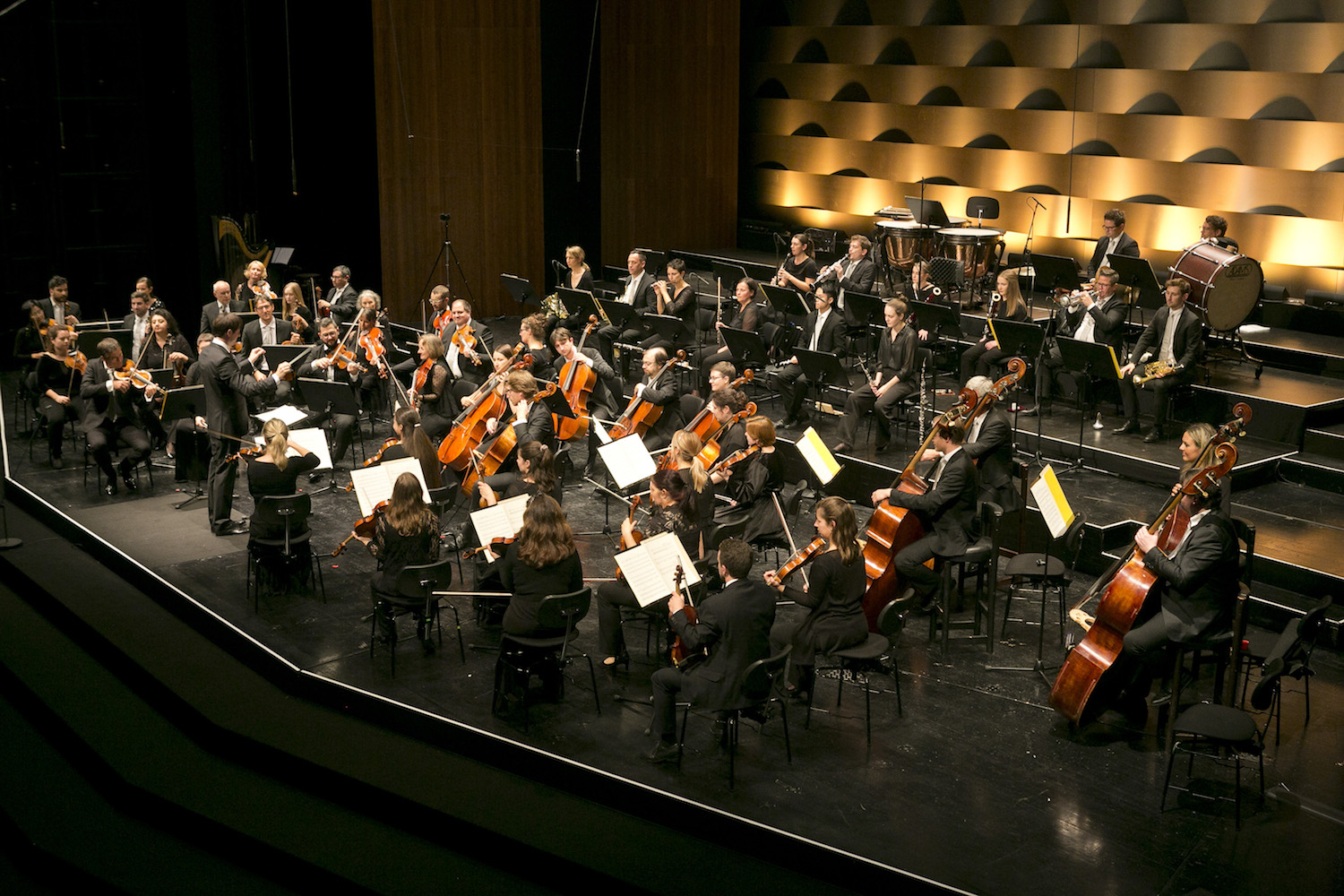 Das Symphonieorchester Vorarlberg mit