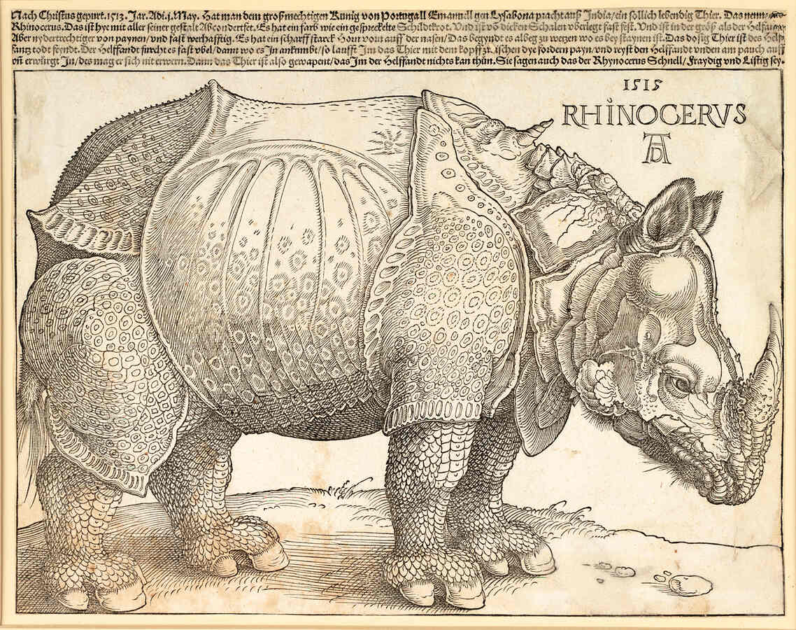 Albrecht Dürer, Das Rhinozerus, 1515, Holzschnitt
