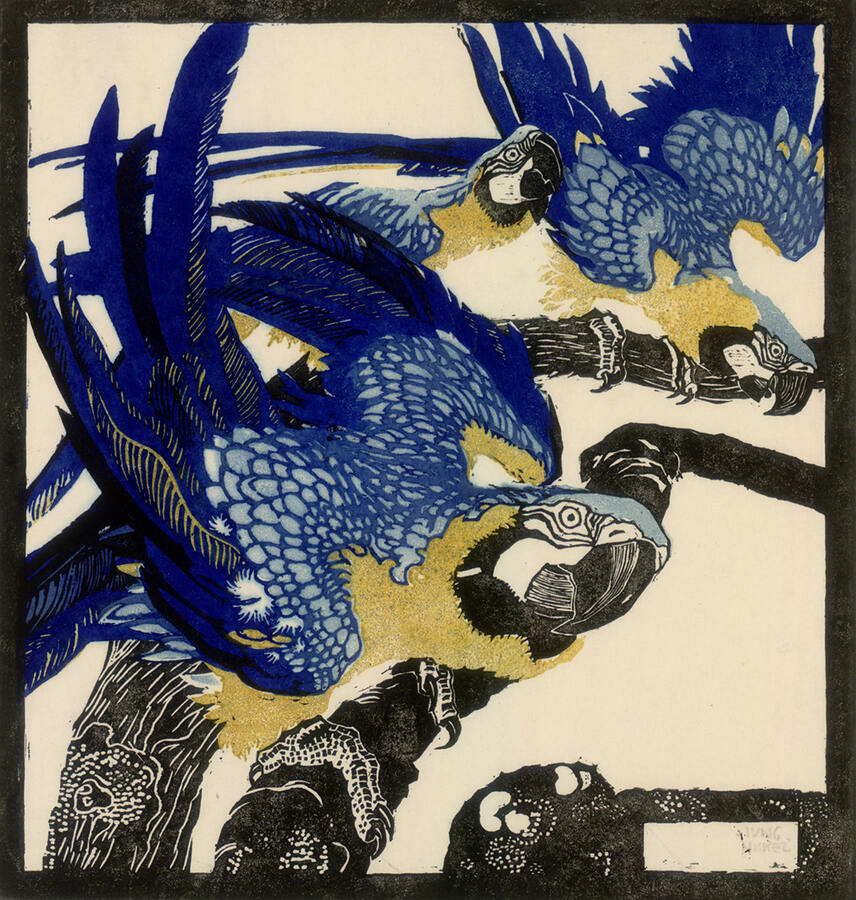 Ludwig Heinrich Jungnickel, Drei blaue Aras, 1909,