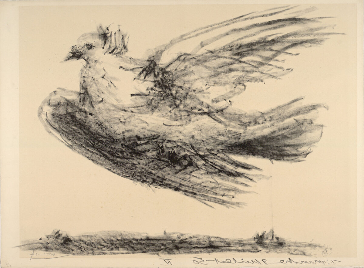 Pablo Picasso, Die Taube im Flug, 1950,
