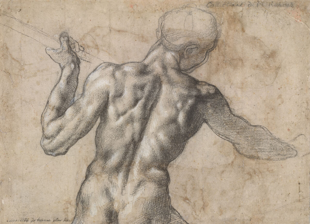 Michelangelo Buonarroti, Männlicher Rückenakt, um 1504, schwarze Kreide, weiß gehöht, Albertina, Wien