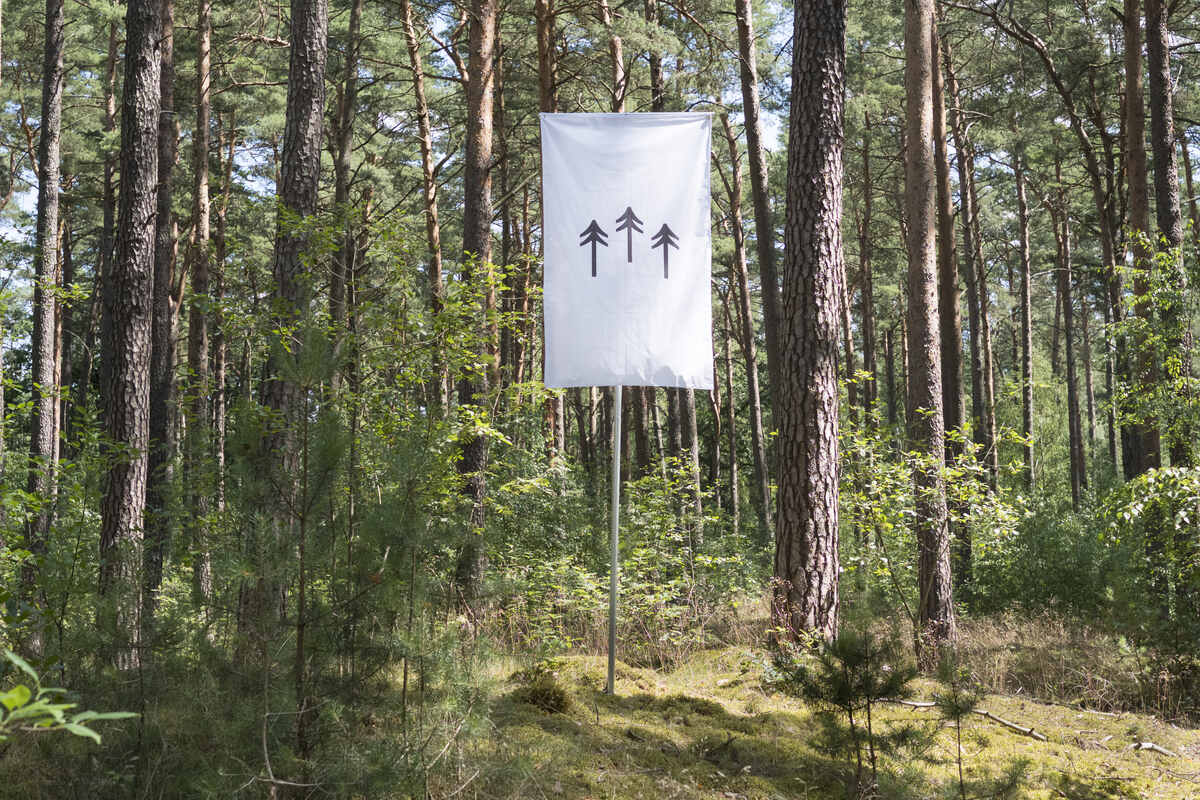 terra0, Can an augmented forest own and utilize itself?, 2016 Fotografie / Photography © terra0