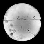 Vorschaubild (Agnes Meyer-Brandis, Microfluidic