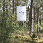Vorschaubild (terra0, Can an augmented forest own and utilize itself?, 2016 Fotografie / Photography © terra0)